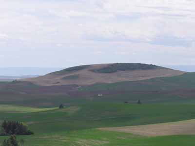 House On the Rolling Hills of the Palouse